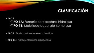 CLASIFICACIÓN
• TIPO 1
• TIPO 1A: Fumarilacetoacetasa hidrolasa
• TIPO 1B: Maleilacetoacetato isomerasa
• TIPO 2 : Tirosina aminotransferasa citosólica
• TIPO 3: 4- hidroxifenilpiruvato dioxigenasa
 