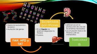 • Herencia autosómica
recesiva
• Mutación de genes
FAH, HPD y
TAT
• En el hígado las
enzimas degradan la
Tirosina
• 5 pasos.
Excretadas
por riñones • deficiencia en la
producción de una de
las enzimas necesarias
• acumulación tóxica de
Tirosina y de sus
metabolitos
Toxicidad

 