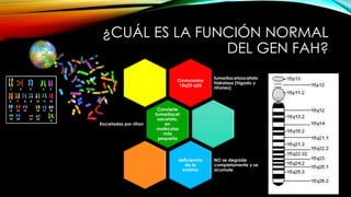 ¿CUÁL ES LA FUNCIÓN NORMAL
DEL GEN FAH?
Cromosoma
15q23-q25
fumarilacetoacetato
hidrolasa (higado y
riñones)
Convierte
fumarilacet
oacetato,
en
moléculas
más
pequeña
Excretadas por riñon
deficiencia
de la
enzima
NO se degrade
completamente y se
acumule
 