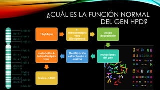 ¿CUÁL ES LA FUNCIÓN NORMAL
DEL GEN HPD?
12q24qter
4-
hidroxifenilpiru
vato
Dioxigenasa
Acido
degradable
mutaciones
del gen
Modificación
estructural o <
enzima
metabolito 4-
hidroxifenilpiru
vato
Toxico-SNC
 