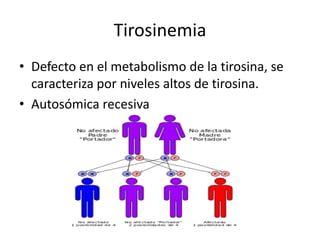 Niveles Altos de Tirosina Reducirían la Esperanza de Vida en Hombres