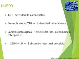 HUESO
u  T3 ↑ actividad de osteoclastos.
u  Ausencia efecto TSH → ↓ densidad mineral ósea.
u  Cambios patológicos → osteítis fibrosa, osteomalacia,
osteoporosis.
u  ↓25OH vit D → ↓absorción intestinal de calcio.
Williams textbook of endocrinology.12th ed.2011.
 