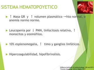 SISTEMA HEMATOPOYETICO
u  ↑ Masa GR y ↑ volumen plasmático →hto normal, o
anemia normo normo.
u  Leucopenia por ↓ PMN, linfocitosis relativa, ↑
monocitos y eosinófilos.
u  10% esplenomegalia, ↑ timo y ganglios linfáticos.
u  Hipercoagulabilidad, hipofibrinolisis.
Williams textbook of endocrinology.12th ed.2011.
Thromb Haemost. 2012;108(6):1077
 