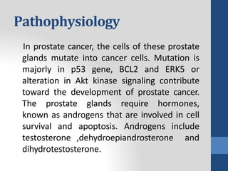 Pathophysiology
In prostate cancer, the cells of these prostate
glands mutate into cancer cells. Mutation is
majorly in p53 gene, BCL2 and ERK5 or
alteration in Akt kinase signaling contribute
toward the development of prostate cancer.
The prostate glands require hormones,
known as androgens that are involved in cell
survival and apoptosis. Androgens include
testosterone ,dehydroepiandrosterone and
dihydrotestosterone.
 