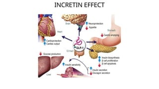 tirzepatide and mash TIRZEPATIDE.pptx effect of tirzepatide on mash