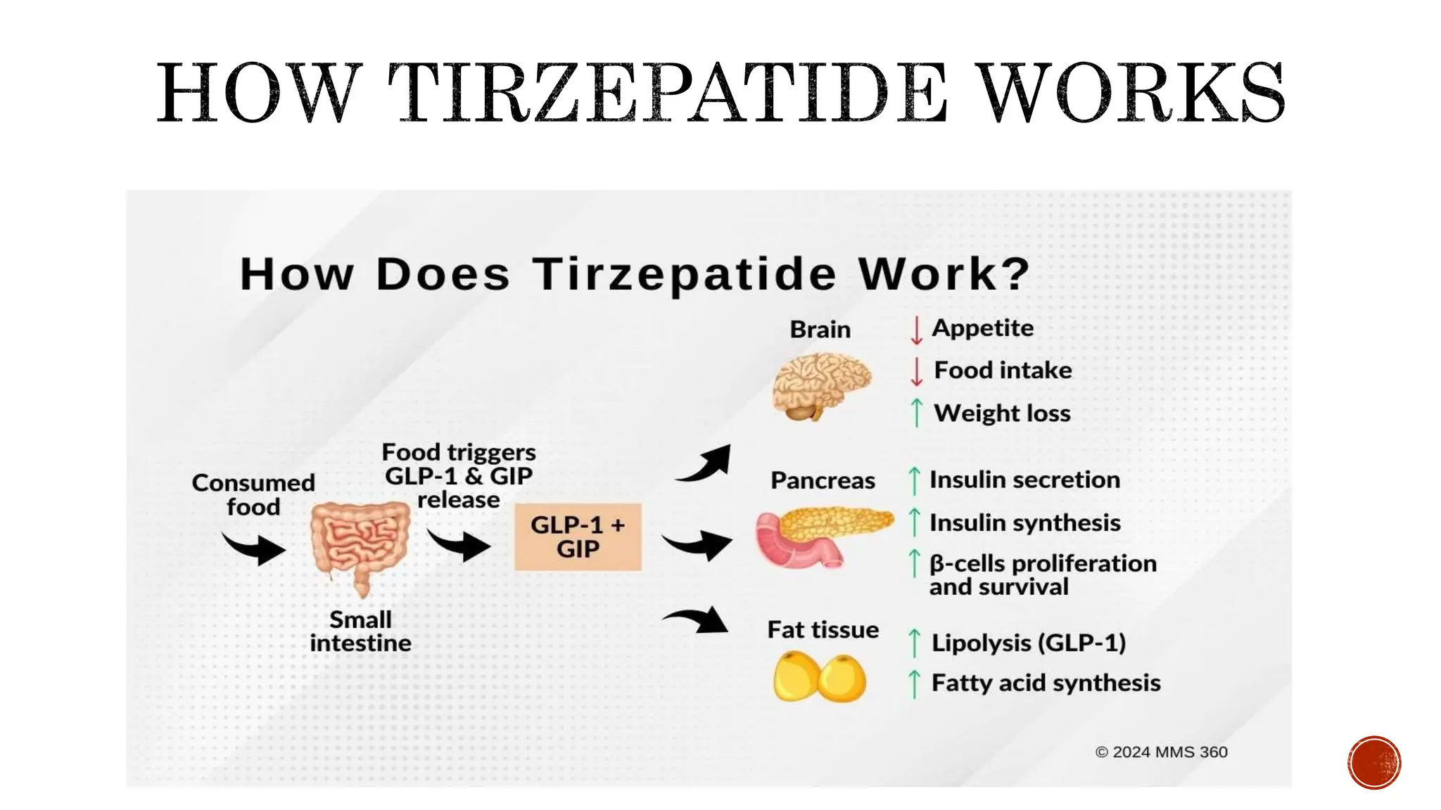 tirzepatide and joint pain relief Weight-Loss Medications, Joint Pain, and Bone Health: What Patients Need to  Know