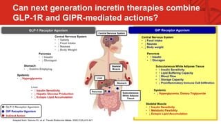 TIRZEPATIDE (COAGONISTA GIP/GP1): DESARROLLO CLINICO SURPASS