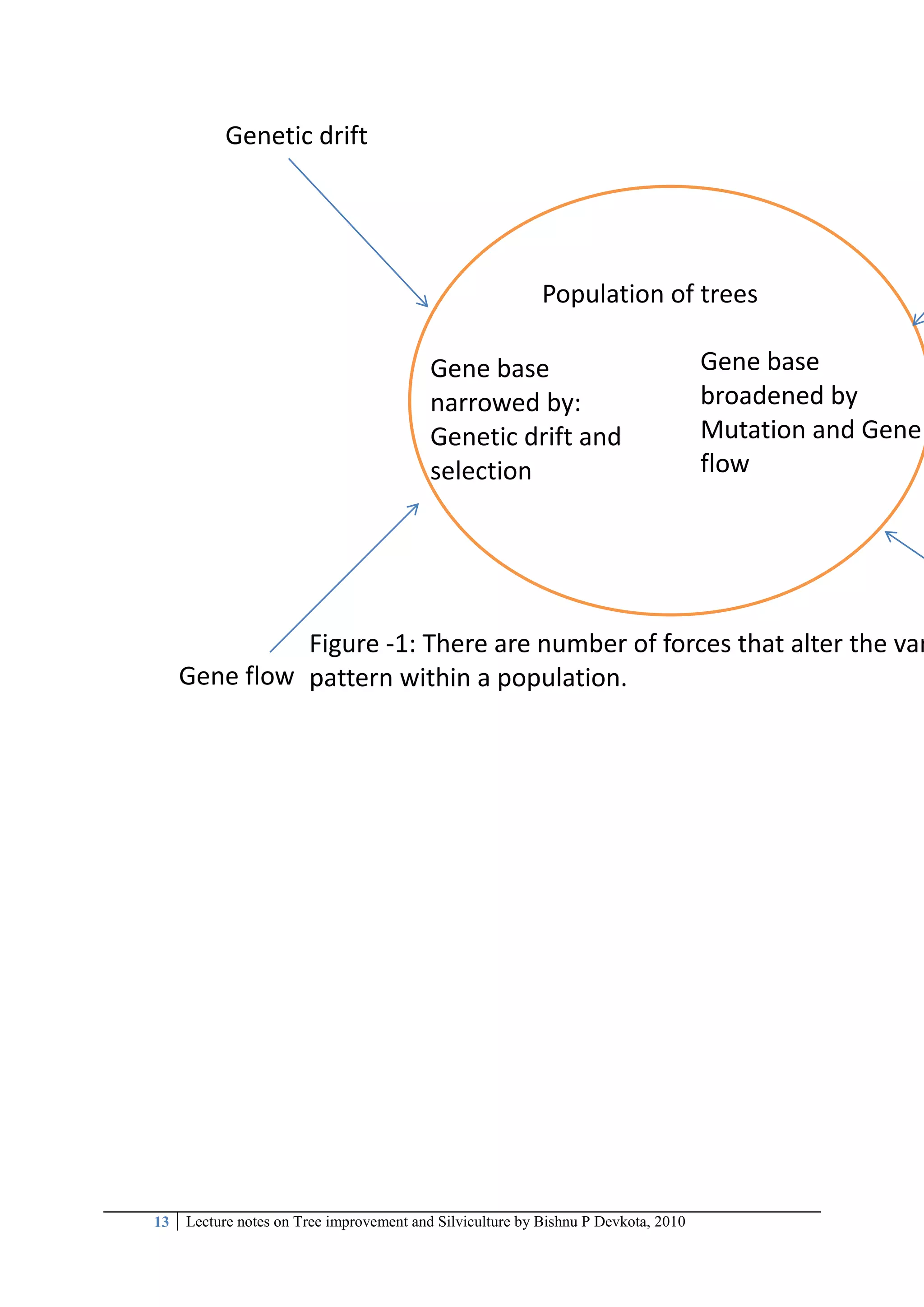 13 Lecture notes on Tree improvement and Silviculture by Bishnu P Devkota, 2010
Population of trees
Gene base
narrowed by:
Genetic drift and
selection
Gene base
broadened by
Mutation and Gene
flow
Figure -1: There are number of forces that alter the var
pattern within a population.
Genetic drift
Gene flow
 