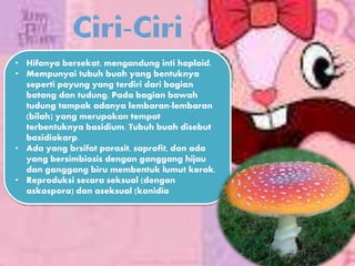 • Hifanya bersekat, mengandung inti haploid.
• Mempunyai tubuh buah yang bentuknya
seperti payung yang terdiri dari bagian
batang dan tudung. Pada bagian bawah
tudung tampak adanya lembaran-lembaran
(bilah) yang merupakan tempat
terbentuknya basidium. Tubuh buah disebut
basidiokarp.
• Ada yang brsifat parasit, saprofit, dan ada
yang bersimbiosis dengan ganggang hijau
dan ganggang biru membentuk lumut kerak.
• Reproduksi secara seksual (dengan
askospora) dan aseksual (konidia
 