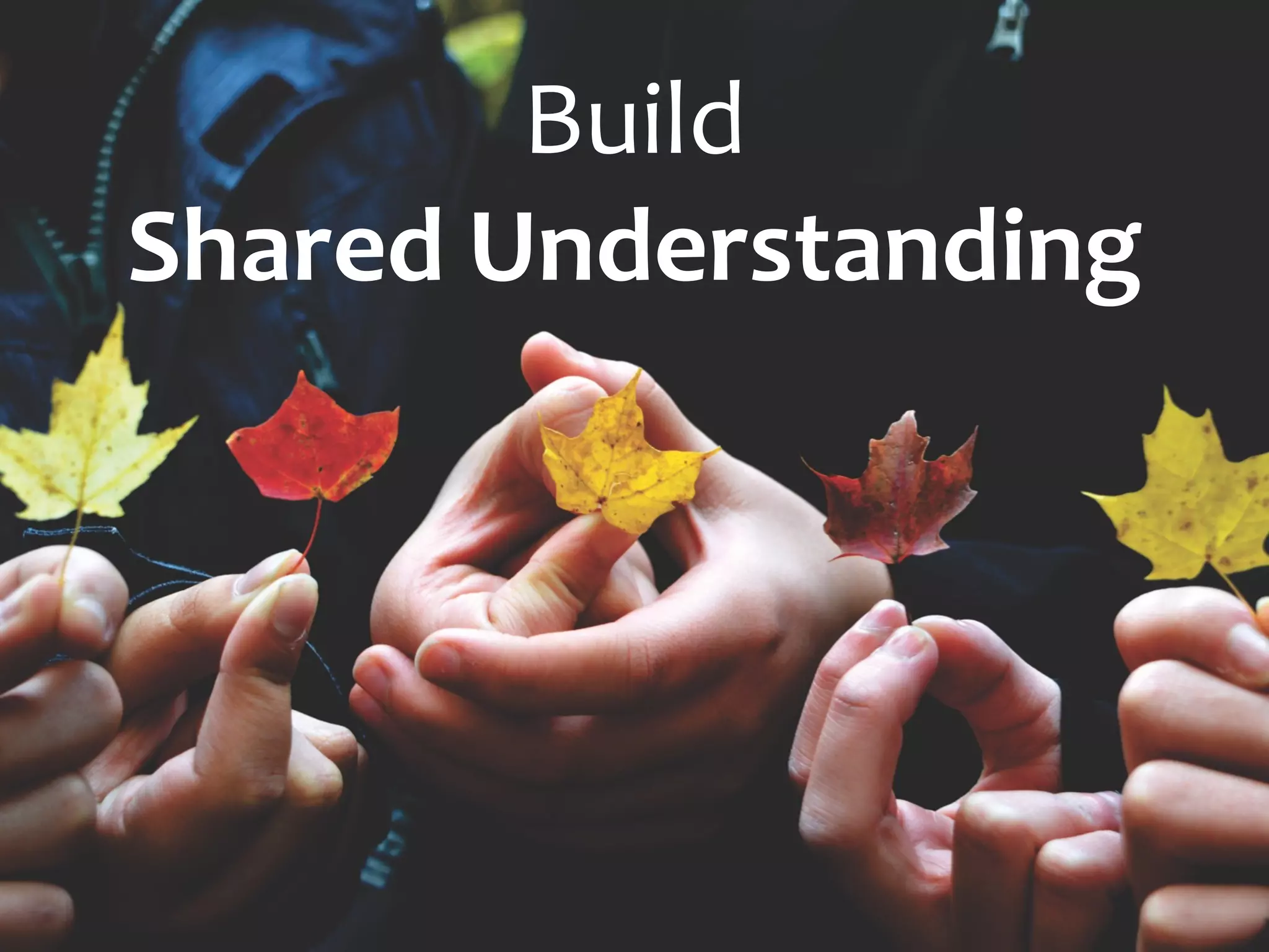 Build
Shared Understanding
 
