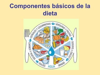 Componentes básicos de la 
dieta 
 