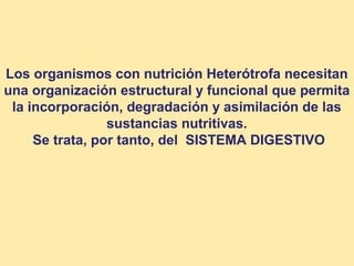 Los organismos con nutrición Heterótrofa necesitan 
una organización estructural y funcional que permita 
la incorporación, degradación y asimilación de las 
sustancias nutritivas. 
Se trata, por tanto, del SISTEMA DIGESTIVO 
 