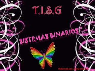 T.I.S.G Sistemas Binarios Elaborado por: Joxiny Solano R. 
