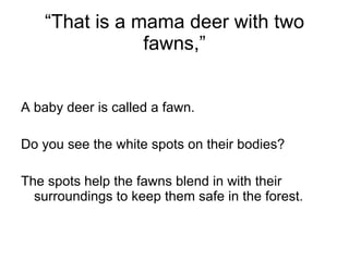 “ That is a mama deer with two fawns,” A baby deer is called a fawn.  Do you see the white spots on their bodies? The spots help the fawns blend in with their surroundings to keep them safe in the forest.  