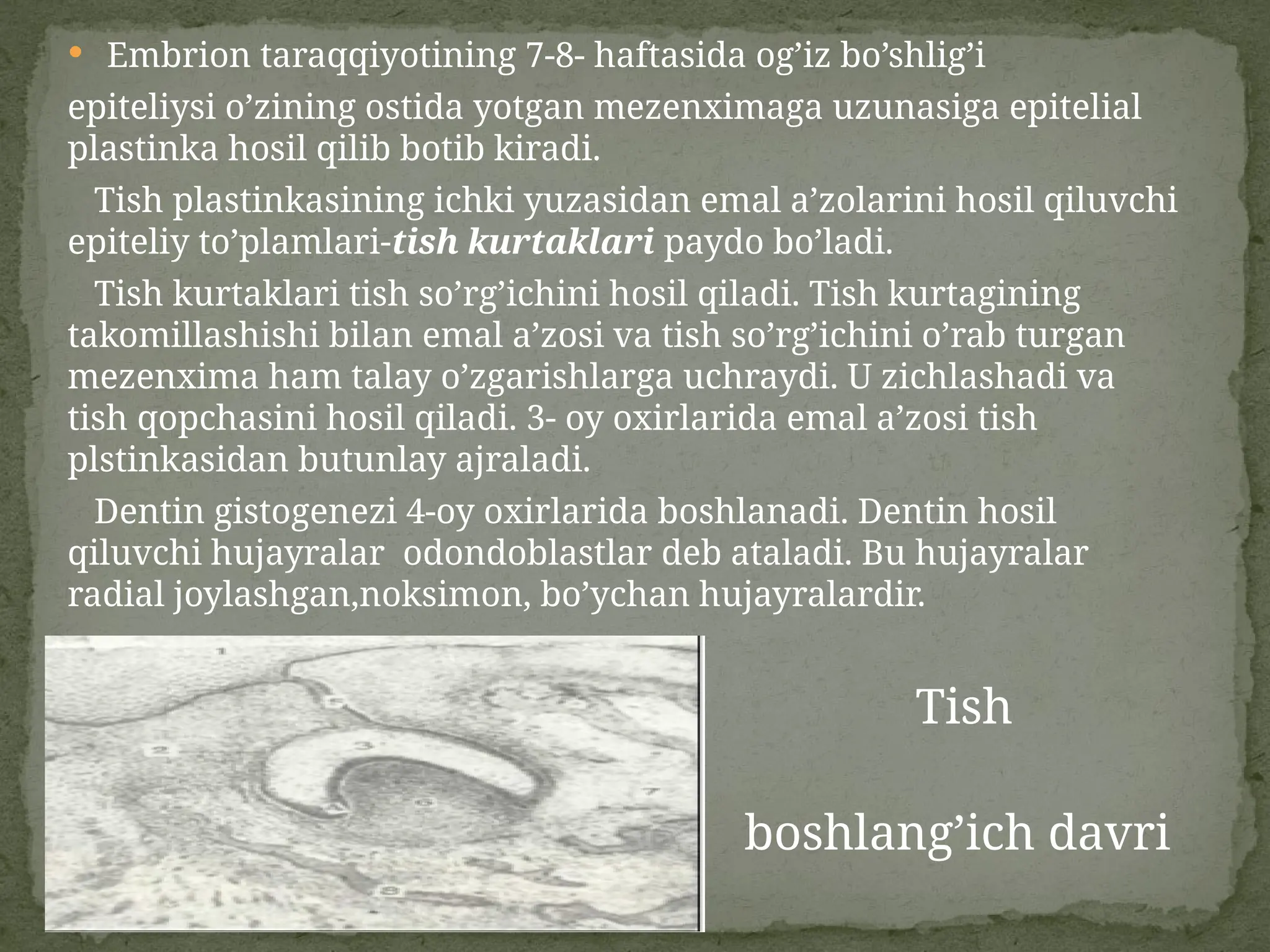 Rus tranniesning shaxsiy porno surati bosh irgadi