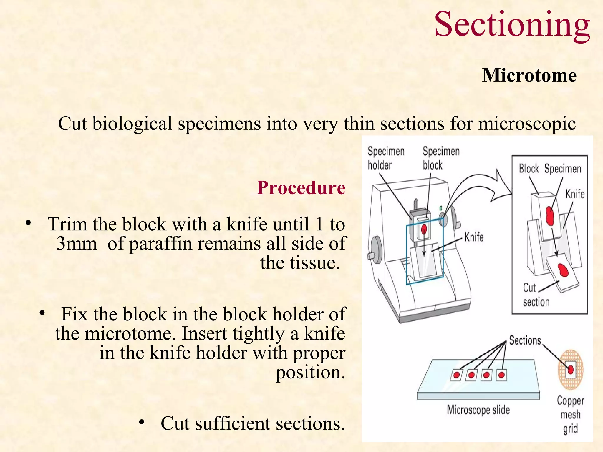 Sectioning
Procedure
• Trim the block with a knife until 1 to
3mm of paraffin remains all side of
the tissue.
• Fix the block in the block holder of
the microtome. Insert tightly a knife
in the knife holder with proper
position.
• Cut sufficient sections.
Microtome
Cut biological specimens into very thin sections for microscopic
examination.
 