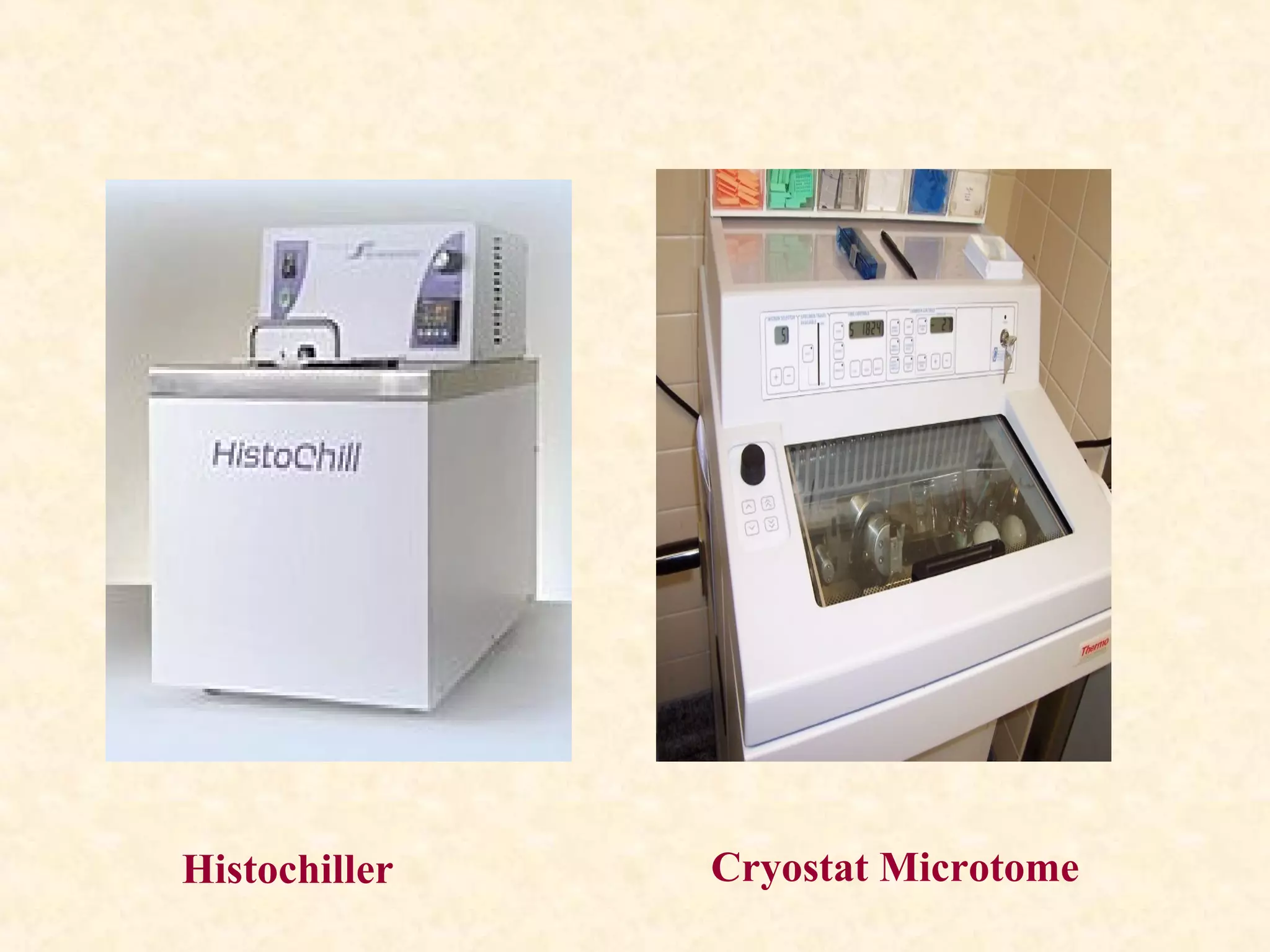 Cryostat MicrotomeHistochiller
 