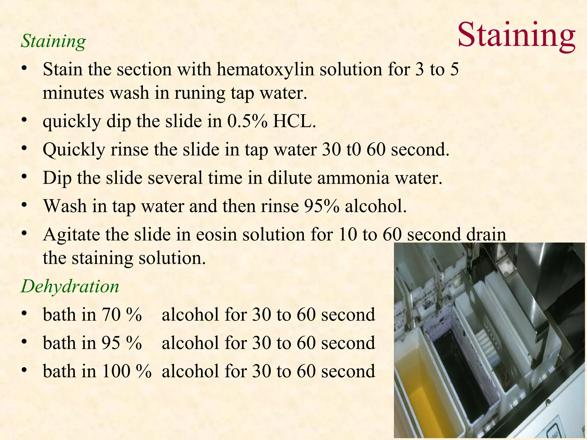 Staining
• Stain the section with hematoxylin solution for 3 to 5
minutes wash in runing tap water.
• quickly dip the slide in 0.5% HCL.
• Quickly rinse the slide in tap water 30 t0 60 second.
• Dip the slide several time in dilute ammonia water.
• Wash in tap water and then rinse 95% alcohol.
• Agitate the slide in eosin solution for 10 to 60 second drain
the staining solution.
Dehydration
• bath in 70 % alcohol for 30 to 60 second
• bath in 95 % alcohol for 30 to 60 second
• bath in 100 % alcohol for 30 to 60 second
Staining
 