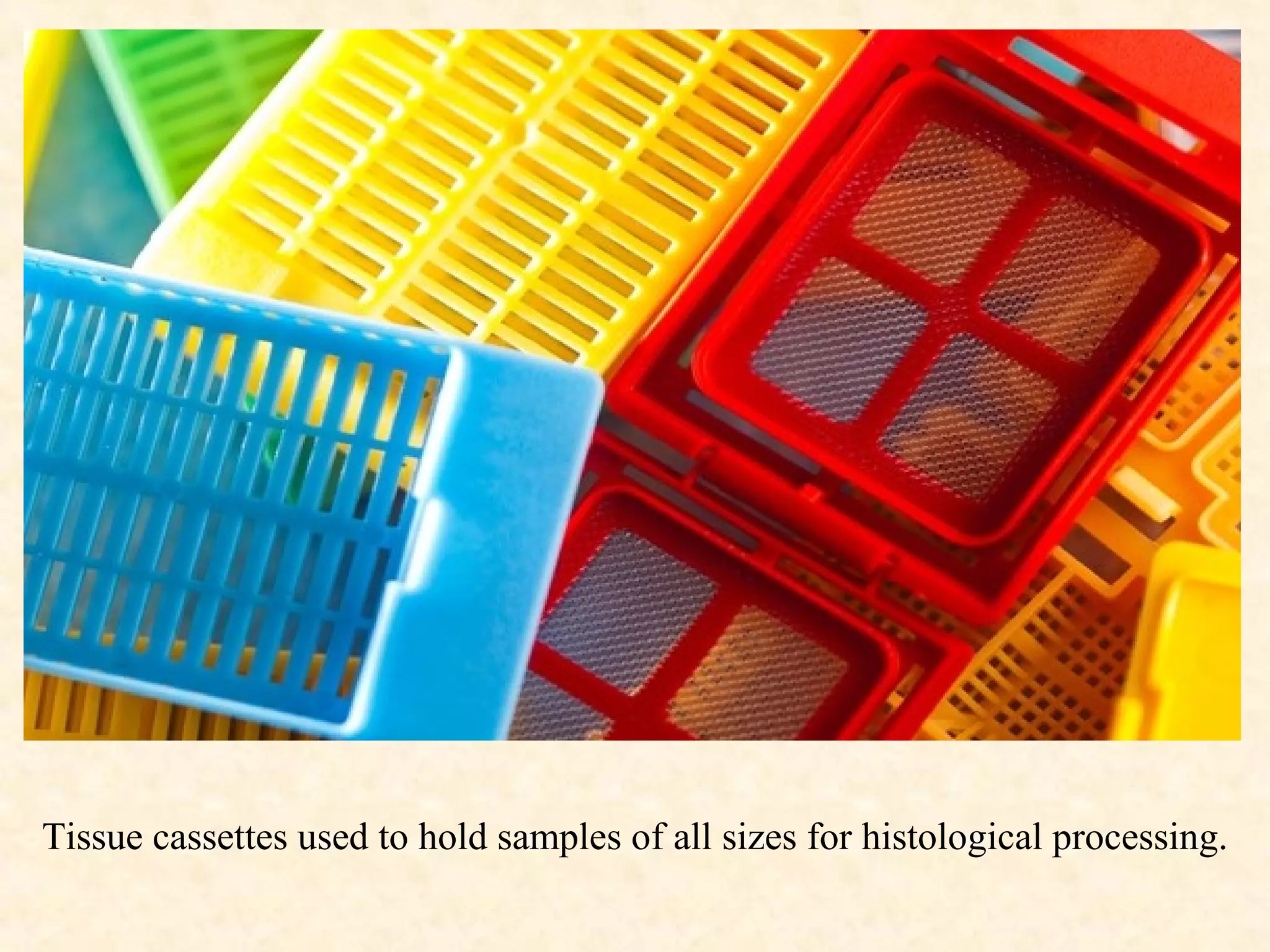 Tissue cassettes used to hold samples of all sizes for histological processing.
 