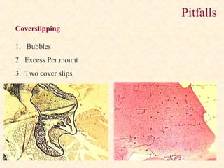 Tissue Processing in Histopathology | PPT