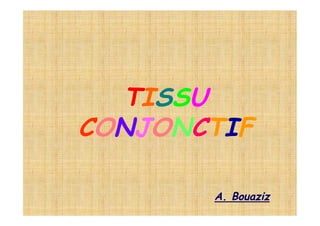 TISSU
CONJONCTIF

       A. Bouaziz
 
