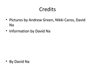Credits Pictures by Andrew Green, Nikki Caros, David Na Information by David Na By David Na 
