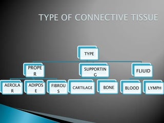 TYPE


         PROPE                  SUPPORTIN         FLIUID
           R                        G

AEROLA   ADIPOS   FIBROU   CARTILAGE   BONE   BLOOD   LYMPH
   R       E         S
 