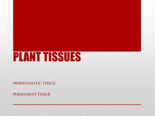 PLANT TISSUES
MERISTEMATIC TISSUE

PERMANENT TISSUE
 