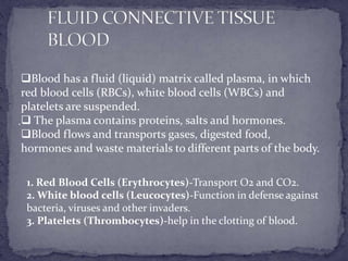 Blood has a fluid (liquid) matrix called plasma, in which
 red blood cells (RBCs), white blood cells (WBCs) and
 platelets are suspended.
. The plasma contains proteins, salts and hormones.
 Blood flows and transports gases, digested food,
 hormones and waste materials to different parts of the body.

 1. Red Blood Cells (Erythrocytes)-Transport O2 and CO2.
 2. White blood cells (Leucocytes)-Function in defense against
 bacteria, viruses and other invaders.
 3. Platelets (Thrombocytes)-help in the clotting of blood.
 