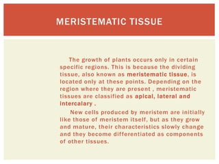 MERISTEMATIC TISSUE


   The growth of plants occurs only in certain
specific regions. This is because the dividing
tissue, also known as meristematic tissue, is
located only at these points. Depending on the
region where they are present , meristematic
tissues are classified as apical, lateral and
intercalary .
    New cells produced by meristem are initially
like those of meristem itself, but as they grow
and mature, their characteristics slowly change
and they become dif ferentiated as components
of other tissues.
 