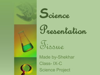 Science
Presentation
Tissue
Made by-Shekhar
Class- IX-C
Science Project
 