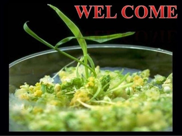tissue culture and biotechnological