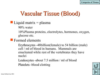 Categories of Tissues
Jenna Hellack Jan 2001
Vascular Tissue (Blood)Vascular Tissue (Blood)
 Liquid matrix = plasma
90% water
10%Plasma proteins, electrolytes, hormones, oxygen,
glucose etc.
 Formed elements
ErythrocytesErythrocytes -48billion(female) to 54 billion (male)
cell / ml of blood in humans. Mammals are
enucleated while rest of the vertebrates they have
nuclei
LeukocytesLeukocytes -about 7.5 million / ml of blood
PlateletsPlatelets -blood clotting
 