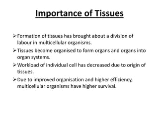 Importance of Tissues
Formation of tissues has brought about a division of
labour in multicellular organisms.
Tissues become organised to form organs and organs into
organ systems.
Workload of individual cell has decreased due to origin of
tissues.
Due to improved organisation and higher efficiency,
multicellular organisms have higher survival.
 