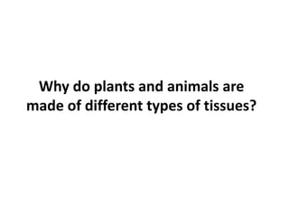 Why do plants and animals are
made of different types of tissues?
 
