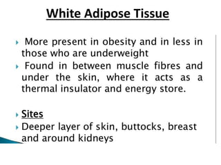 White Adipose Tissue
 