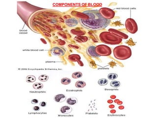 COMPONENTS OF BLOOD
 