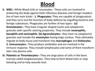 Blood
ii. WBC:- White Blood Cells or Leucocytes:- These cells are involved in
protecting the body against both infectious diseases and foreign invaders.
Are of two main kinds:- 1. Phagocytes: They are capable of phagocytosis
and they carry out the function of body defence by engulfing bacteria and
foreign substances. Phagocytes are further of two types:- (a)
Granulocytes:- They have irregular shaped nuclei and cytoplasmic
granules with specific staining properties. They include neutrophils,
basophils and eosinophils. (b) Agranulocytes:- they have no cytoplasmic
granules and include the monocytes having large nucleus. They ultimately
migrate to body tissue and transform into macrophages and histiocytes.
2. Immunocytes:- They produce antibodies and are involved in the
immune response. They include lymphocytes and some of them transform
later into plasma cells.
iii. Platelets or Thrombocytes:- They are large piece of cells in the bone
marrow called megakaryocytes. They help to form blood clots or stop
bleeding and to help wounds heal.
 
