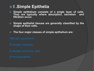  I .Simple Epithelia
 Simple epithelium consists of a single layer of cells.
They are typically where absorption, secretion and
filtration occur.
 Simple epithelial tissues are generally classified by the
shape of their cells.
 The four major classes of simple epithelium are:
1]Simple squamous;
2) Simple cuboidal;
3) Simple columnar; and
4) Pseudostratified.
 