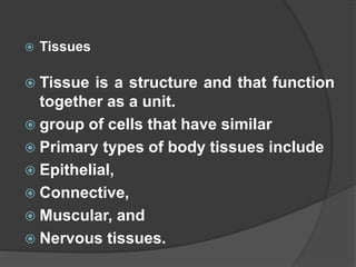  Tissues
 Tissue is a structure and that function
together as a unit.
 group of cells that have similar
 Primary types of body tissues include
 Epithelial,
 Connective,
 Muscular, and
 Nervous tissues.
 