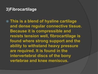 3)Fibrocartilage
 This is a blend of hyaline cartilage
and dense regular connective tissue.
Because it is compressible and
resists tension well, fibrocartilage is
found where strong support and the
ability to withstand heavy pressure
are required. It is found in the
intervertebral discs of the bony
vertebrae and knee meniscus.
 