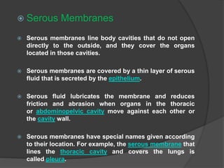  Serous Membranes
 Serous membranes line body cavities that do not open
directly to the outside, and they cover the organs
located in those cavities.
 Serous membranes are covered by a thin layer of serous
fluid that is secreted by the epithelium.
 Serous fluid lubricates the membrane and reduces
friction and abrasion when organs in the thoracic
or abdominopelvic cavity move against each other or
the cavity wall.
 Serous membranes have special names given according
to their location. For example, the serous membrane that
lines the thoracic cavity and covers the lungs is
called pleura.
 