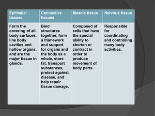Epithelial
tissues
Connective
tissues
Muscle tissue Nervous tissue
Form the
covering of all
body surfaces,
line body
cavities and
hollow organs,
and are the
major tissue in
glands.
Bind
structures
together, form
a framework
and support
for organs and
the body as a
whole, store
fat, transport
substances,
protect against
disease, and
help repair
tissue damage.
Composed of
cells that have
the special
ability to
shorten or
contract in
order to
produce
movement of
body parts.
Responsible
for
coordinating
and controlling
many body
activities.
 
