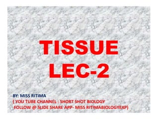 TISSUE
LEC-2
BY: MISS RITIMA
( YOU TUBE CHANNEL : SHORT SHOT BIOLOGY
FOLLOW @ SLIDE SHARE APP- MISS RITIMABIOLOGYEXP)
 