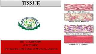 TISSUE
BY: - J. Y. BURADE
(LECTURER)
Dr. Rajendra Gode College of Pharmacy, Amravati
 
