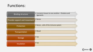 32
Functions:
• Connects tissues to one another—Tendons and
ligaments
Binding structure
• Bones
Provide support and movement
• Bones , cells of the immune system
Protection
• Blood
Transportation
• Fat
Storage
• Fat
Insulation
 