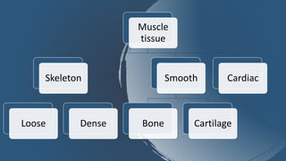 Muscle
tissue
Skeleton
Loose Dense
Smooth
Bone Cartilage
Cardiac
 