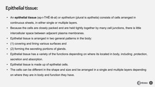 Epithelialtissue:
8
• An epithelial tissue (ep-i-THĒ-lē-al) or epithelium (plural is epithelia) consists of cells arranged in
continuous sheets, in either single or multiple layers.
• Because the cells are closely packed and are held tightly together by many cell junctions, there is little
intercellular space between adjacent plasma membranes.
• Epithelial tissue is arranged in two general patterns in the body:
• (1) covering and lining various surfaces and
• (2) forming the secreting portions of glands.
• Epithelial tissue has a variety of the functions depending on where its located in body, including ,protection,
secretion and absorption.
• Epithelial tissue is made up of epithelial cells.
• The cells can be different in the shape and size and be arranged in a single and multiple layers depending
on where they are in body and function they have.
 