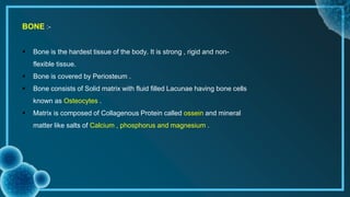tissue .pptx