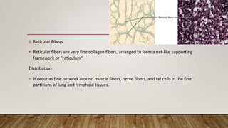 Negative Reticular Network anatomy and physiology of tissue and the functional character | PPTX